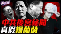 [ID: LJcd-_lM0Y0] Youtube Automatic