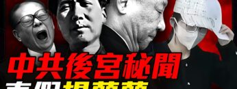 [ID: LJcd-_lM0Y0] Youtube Automatic