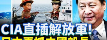 [ID: ll77DD7WTLM] Youtube Automatic