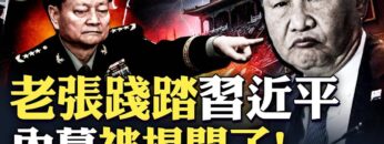 私密：[ID: LLJZgZTfsO8] Youtube Automatic