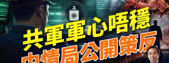 [ID: nbMNnOkCCow] Youtube Automatic