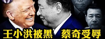 [ID: nJswHIPjnqc] Youtube Automatic