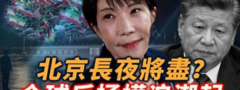 [ID: nWgr8ZdFdOg] Youtube Automatic