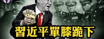 [ID: oc1SiIDPl00] Youtube Automatic