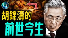 [ID: OQQ-qUnslXs] Youtube Automatic