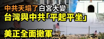 [ID: OZCIw5Cxw6w] Youtube Automatic