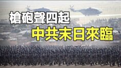 [ID: p8-6zNqd8vU] Youtube Automatic