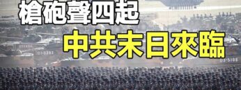 [ID: p8-6zNqd8vU] Youtube Automatic