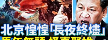 [ID: pdMkTrB-nrI] Youtube Automatic