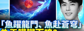 [ID: PJ-OaqliMV4] Youtube Automatic