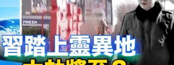 [ID: pXAoLNRH81A] Youtube Automatic