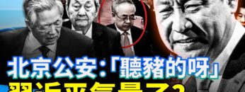 [ID: QaCiXqpKILs] Youtube Automatic