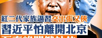 [ID: qzrXPFLOUNM] Youtube Automatic