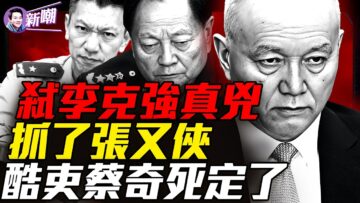 [ID: S-W0Pm0h93E] Youtube Automatic