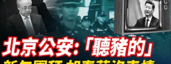 [ID: s7kpoIkn3vc] Youtube Automatic