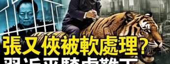 [ID: tCgz6eLES-s] Youtube Automatic