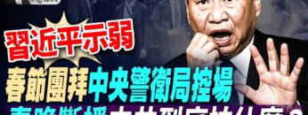 [ID: Ttc19fiLB3I] Youtube Automatic