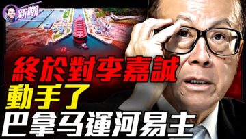 [ID: UdmBa8W7fhY] Youtube Automatic