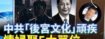 [ID: VnND6-iWlh0] Youtube Automatic