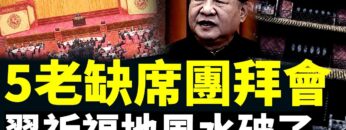 [ID: wALVF1dg_NQ] Youtube Automatic