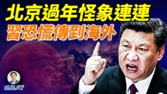 [ID: wFVq96dMubU] Youtube Automatic