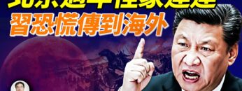 [ID: wFVq96dMubU] Youtube Automatic