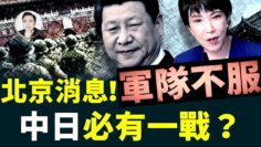 私密：[ID: xrd4DExJYEs] Youtube Automatic