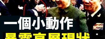 [ID: YaqA0Bhal1s] Youtube Automatic