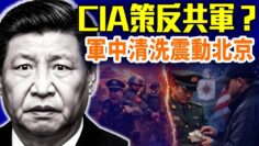 [ID: ytYMe-KSeTQ] Youtube Automatic