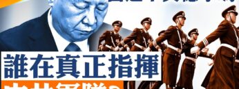 [ID: z5opahDezVY] Youtube Automatic