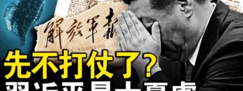 [ID: z_HotaqfU1I] Youtube Automatic