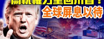 [ID: zR-vl2oRg6M] Youtube Automatic